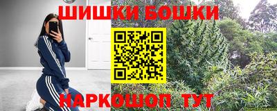 прущие грибы Кингисепп