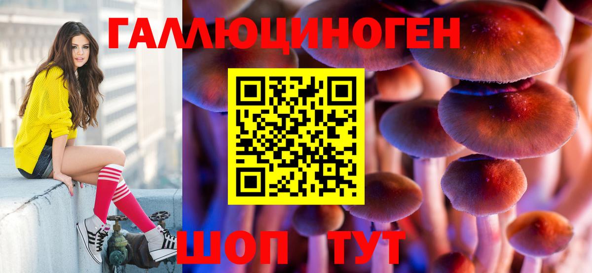 что такое   Галлюциногенные грибы ЛСД  Вход с VPN  Королёв 