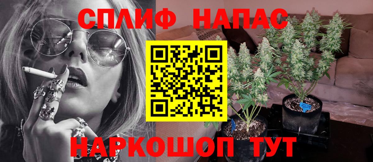 МАРИХУАНА ГИДРОПОН Королёв